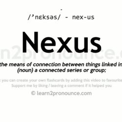 Nexus definition